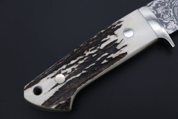 Mr. Itou  IT-600B Drop Point Hunter, 4-1/2" R2 Damascus Blade, Genuine Stag Handle