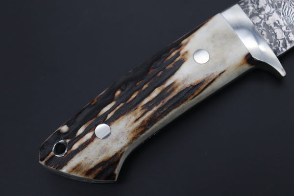 Mr. Itou  IT-670 Drop Point Hunter, 5.1" R2 Damascus Blade, Genuine Stag Handle