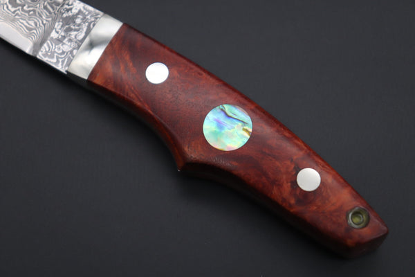 Mr. Itou  IT-950 Drop Point Utility Hunter, 3.5" R-2 Damascus Blade, Quince Burlwood Handle