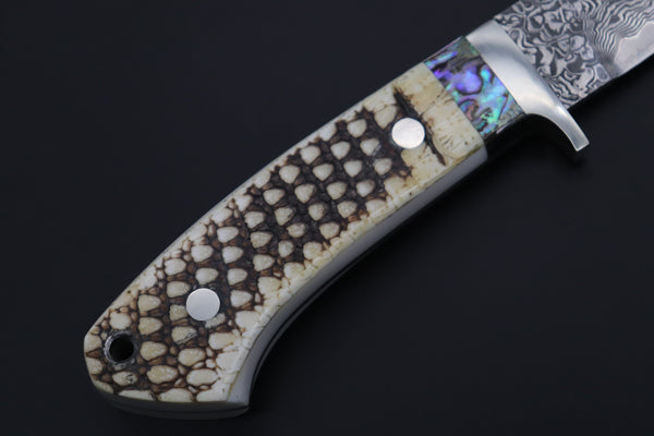 Mr. Itou  ITH-150B  "Treasure Hunter Series" Custom R-2 Damascus 4-1/2" Drop-point Hunter, Armadillo 'Dots texture" Hide Handle