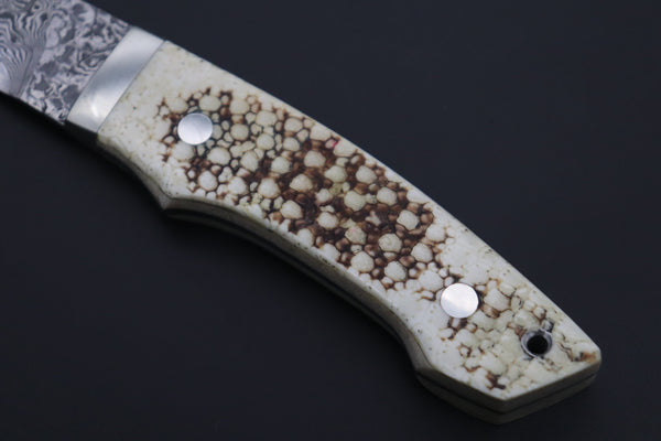 Mr. Itou  ITH-155B  "Treasure Hunter Series" Custom R-2 Damascus 4" Drop-point Hunter, Armadillo  'Dots texture' Hide Handle