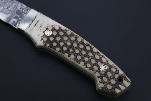 Mr. Itou  ITH-160B  "Treasure Hunter Series" Custom R-2 Damascus 3-1/2" Drop-point Hunter, Armadillo  'Brown Dots texture' Hide Handle