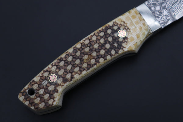 Mr. Itou  ITH-160B  "Treasure Hunter Series" Custom R-2 Damascus 3-1/2" Drop-point Hunter, Armadillo  'Brown Dots texture' Hide Handle