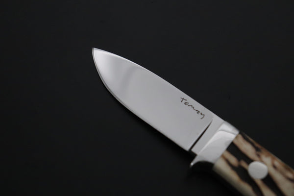 Tomoyoshi Arakawa TA-23 Wild Hunter