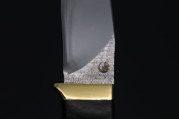 Toshiyuki Takahashi TT-25 Wild Dream Hunter V